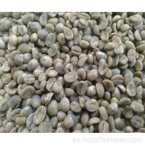 Granos de café verde crudo chino